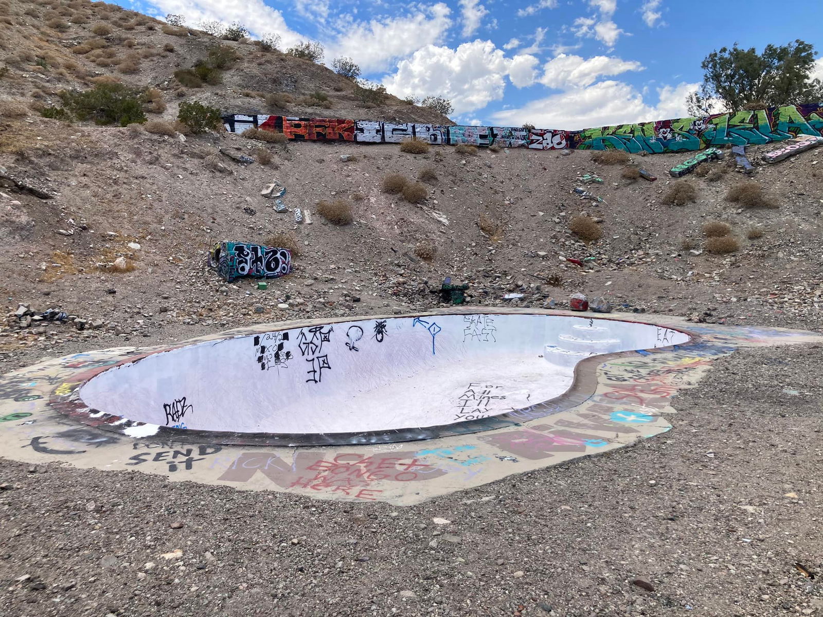 The story behind the iconic Nude Bowl - Trucks and Fins